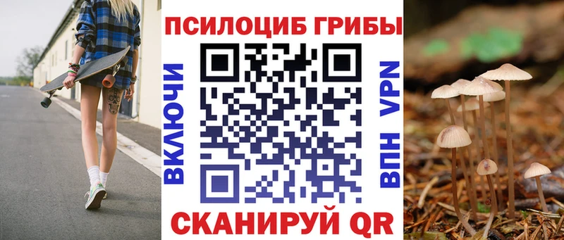 Купить где  Бологое  Галлюциногенные грибы GOLDEN TEACHER 