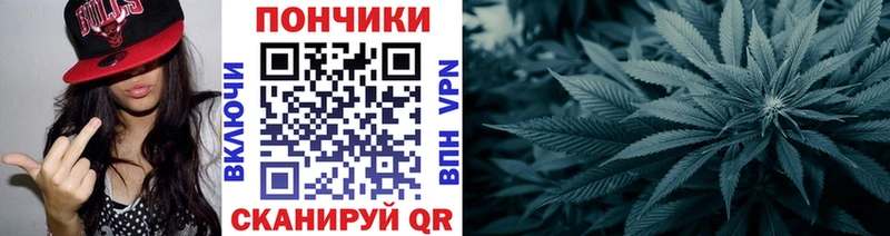 Купить  Бологое  Канабис OG Kush 